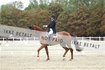 181923_mtp_04_R62_8348.JPG