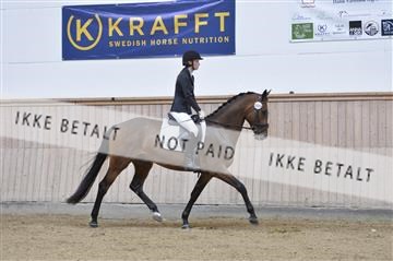 160111_nn_01__ESK1922.JPG