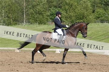 147698_nn_01_IMG_0012.JPG