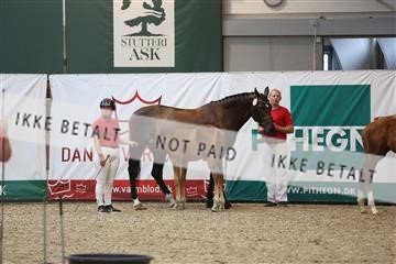 160056_mlm_01_IMG_9654.JPG