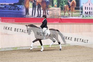 175166_kbb_01_R6II0114.JPG