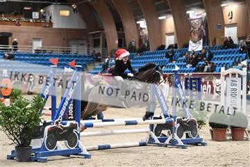 170268_abo_01_D05_7425.JPG