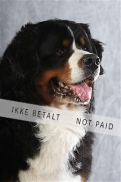 129608_le_ 02_0204.JPG