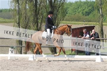 135086_sg_01_IMG_0024.JPG