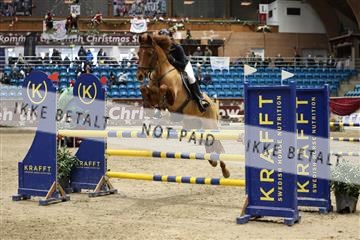 175934_avh_02_7445.JPG
