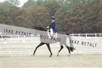 181923_mtp_04_R62_8284.JPG