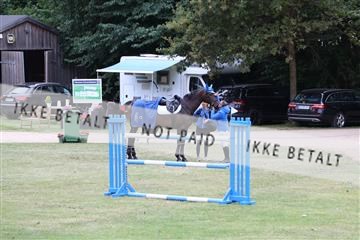 181805_mlm_01_R62_5175.JPG