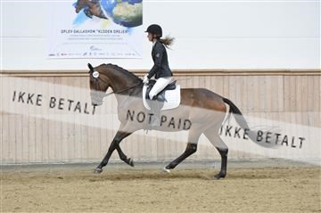 160111_nn_01__ESK1947.JPG