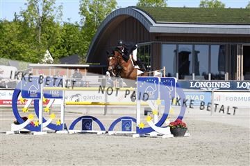 181436_avh_02_3761.JPG