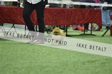 163793_bkn_01__BKN9152.JPG