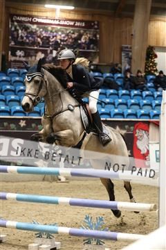 175934_avh_02_7438.JPG