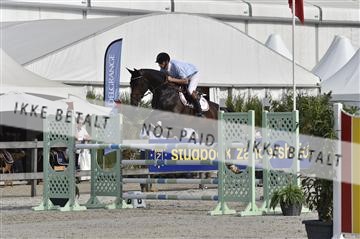 153021_abo_01__AB26707.JPG