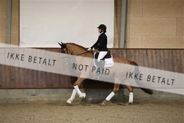 173821_mtp_01_3M5A8289.JPG