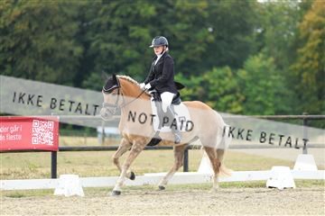 181894_mtp_04_R62_3725.JPG