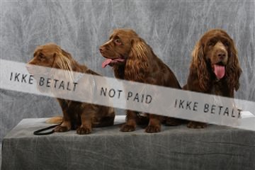 129608_le_ 01_0757.JPG