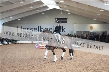 179022_kbb_01_R6II2441.JPG