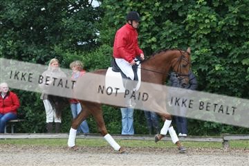 135518_ms_01_IMG_1034.JPG