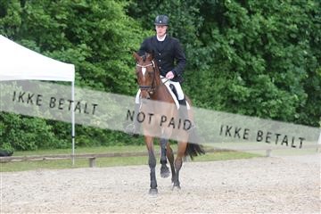 135518_ms_01_IMG_1333.JPG