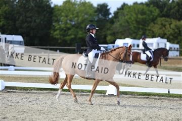 181894_mtp_05_R62_5070.JPG