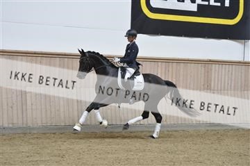 160111_nn_01__ESK2172.JPG