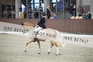 178264_kbb_01_R6II9846.JPG
