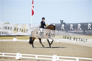 181449_kbb_01_6II9657.JPG