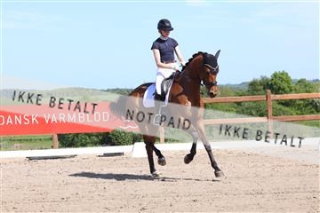 181449_bc_01R62_5937.JPG