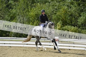 136195_abo_01__AB15947.JPG