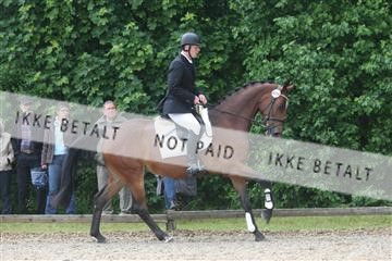 135518_ms_01_IMG_1344.JPG