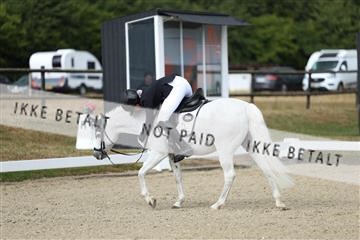 181894_mtp_05_R62_4134.JPG