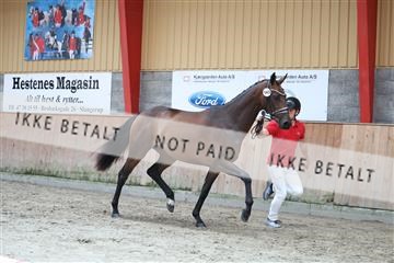 181868_mtp_01_R62_5225.JPG