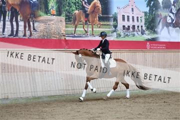 181887_mtp_02_R62_7488.JPG