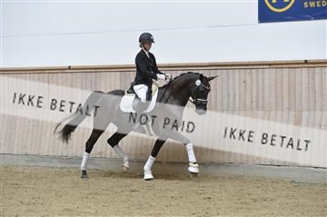 160111_nn_01__ESK1417.JPG