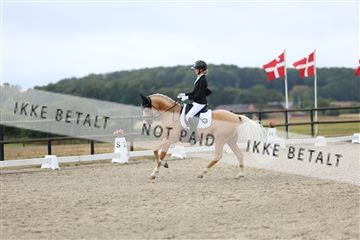 181894_mtp_04_R62_3745.JPG