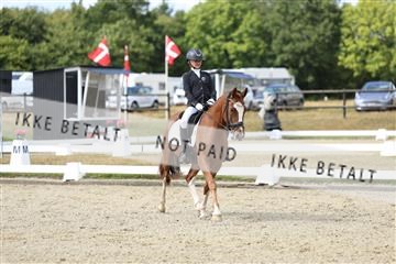 181894_mtp_05_R62_4456.JPG