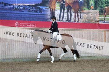 181887_mtp_02_R62_7370.JPG