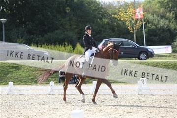 148862_sg_02_IMG_4062.JPG