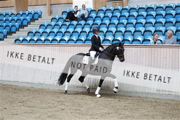 181887_mtp_02_R62_7626.JPG