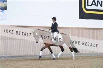 160111_nn_01__ESK2064.JPG