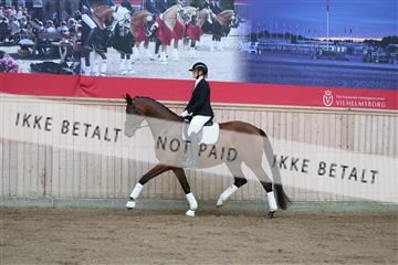 181887_mtp_02_R62_7360.JPG