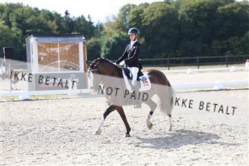 181894_mtp_01_R62_0775.JPG