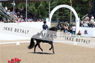 181726_mlm_01_R62_9755.JPG