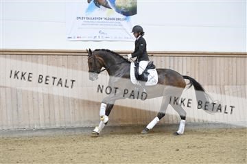 160111_nn_01__ESK1877.JPG