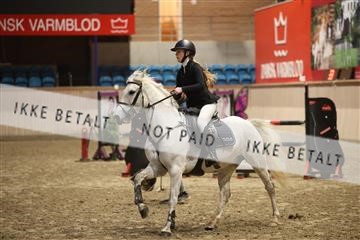 174047_kbb_02_R6II7057.JPG