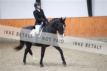 175681_avh_01_R62_0329.JPG