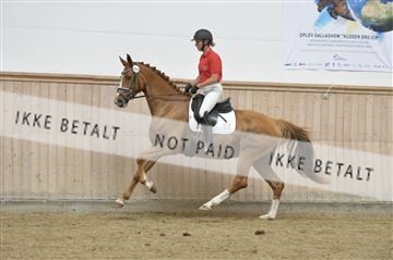 160111_nn_01__ESK1716.JPG