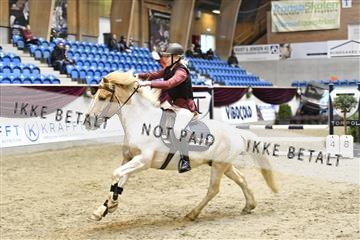 161006_abo_01__D050860.JPG