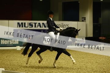 144963_ms_01__MG_9615.JPG