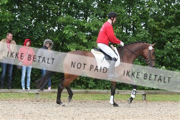 135518_ms_01_IMG_1368.JPG