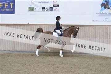 160111_nn_01__ESK2097.JPG